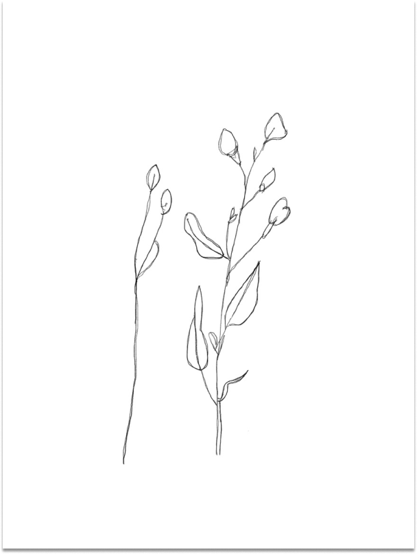 Black and white Imagine Botanical Stem art print by RHEN, featuring elegant botanical design on high-quality paper.