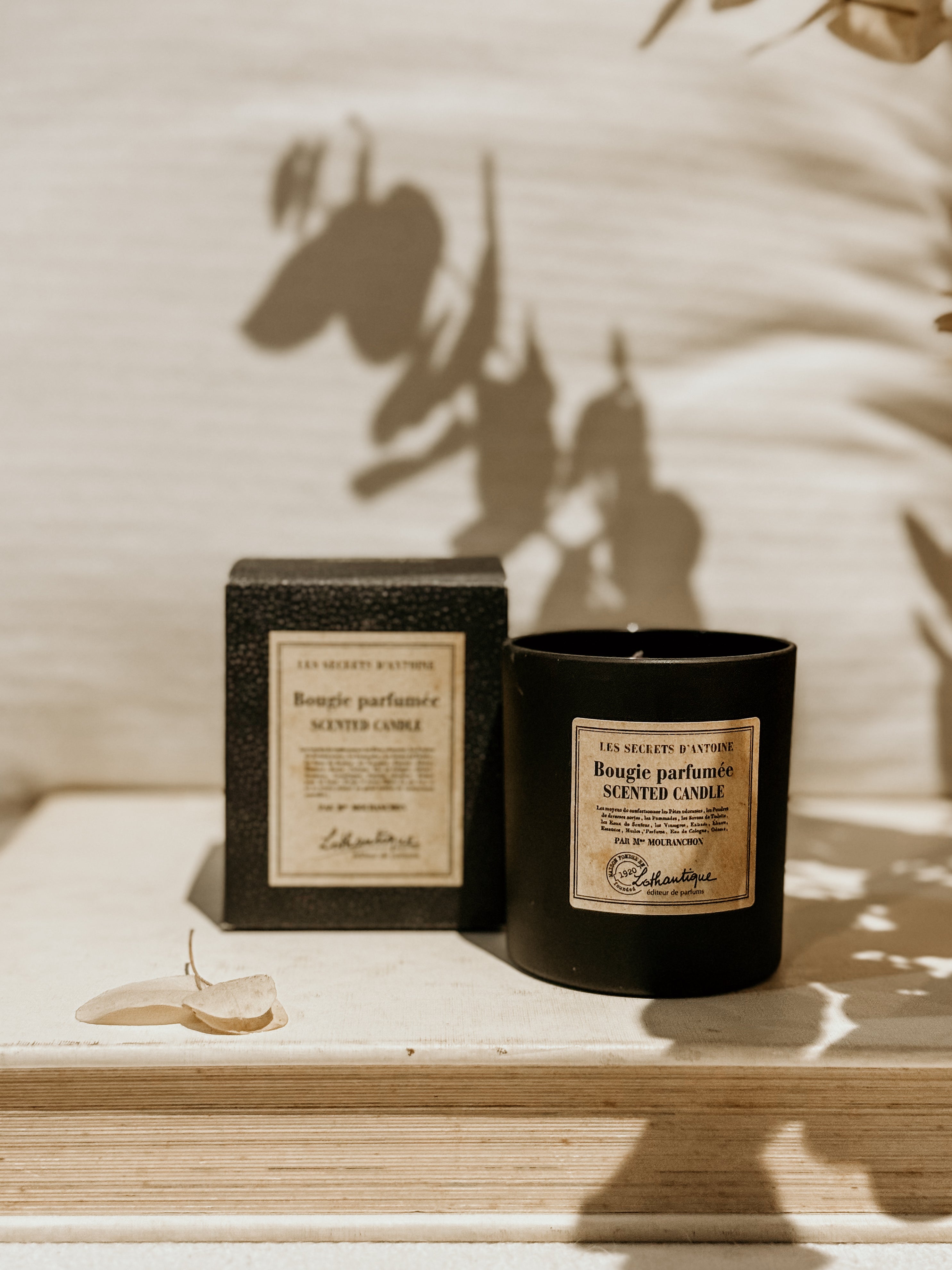 Les Secrets D'antoine Scented Candle - Shop Adele Catherine 
