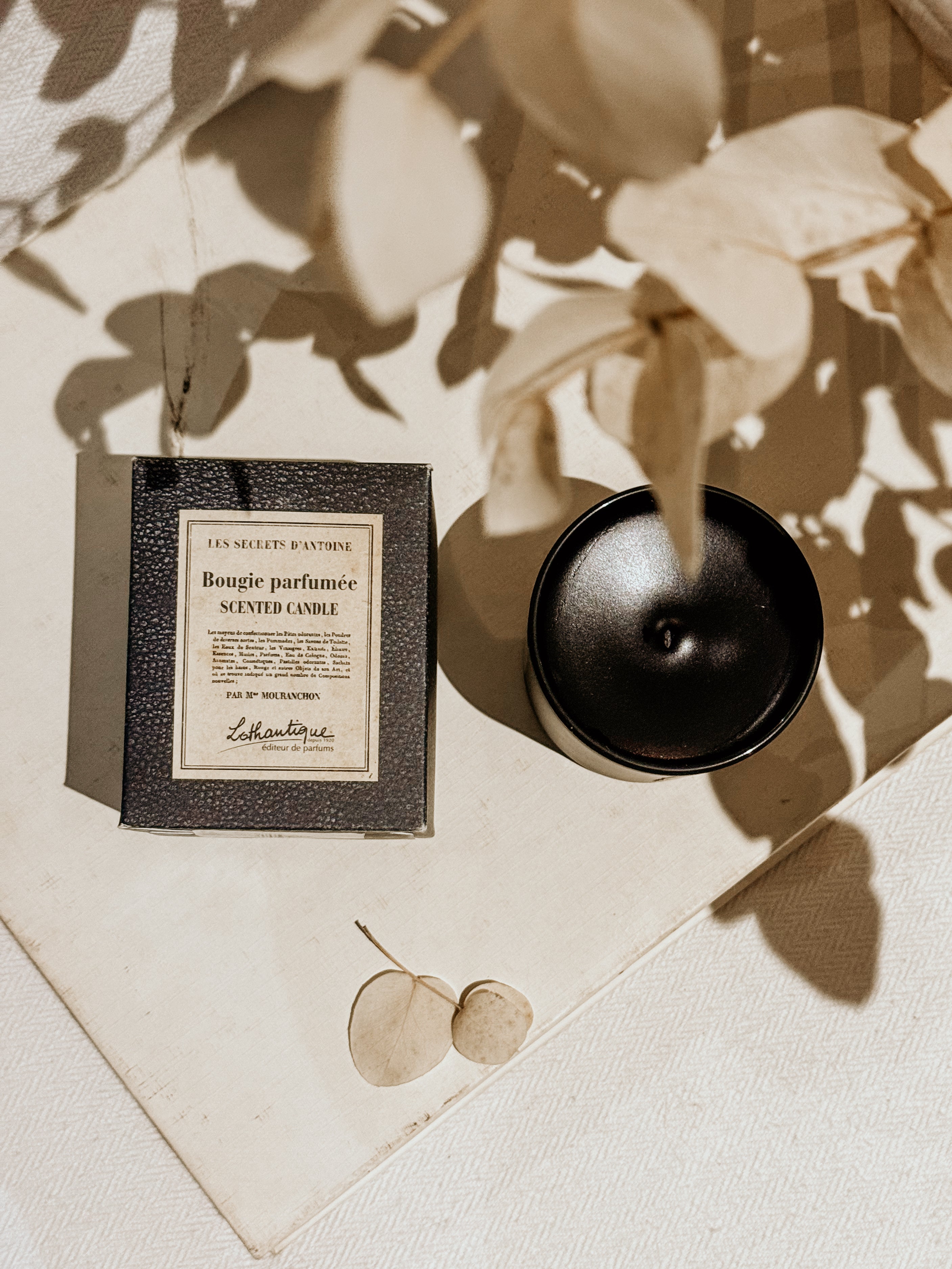 Les Secrets D'antoine Scented Candle - Shop Adele Catherine 