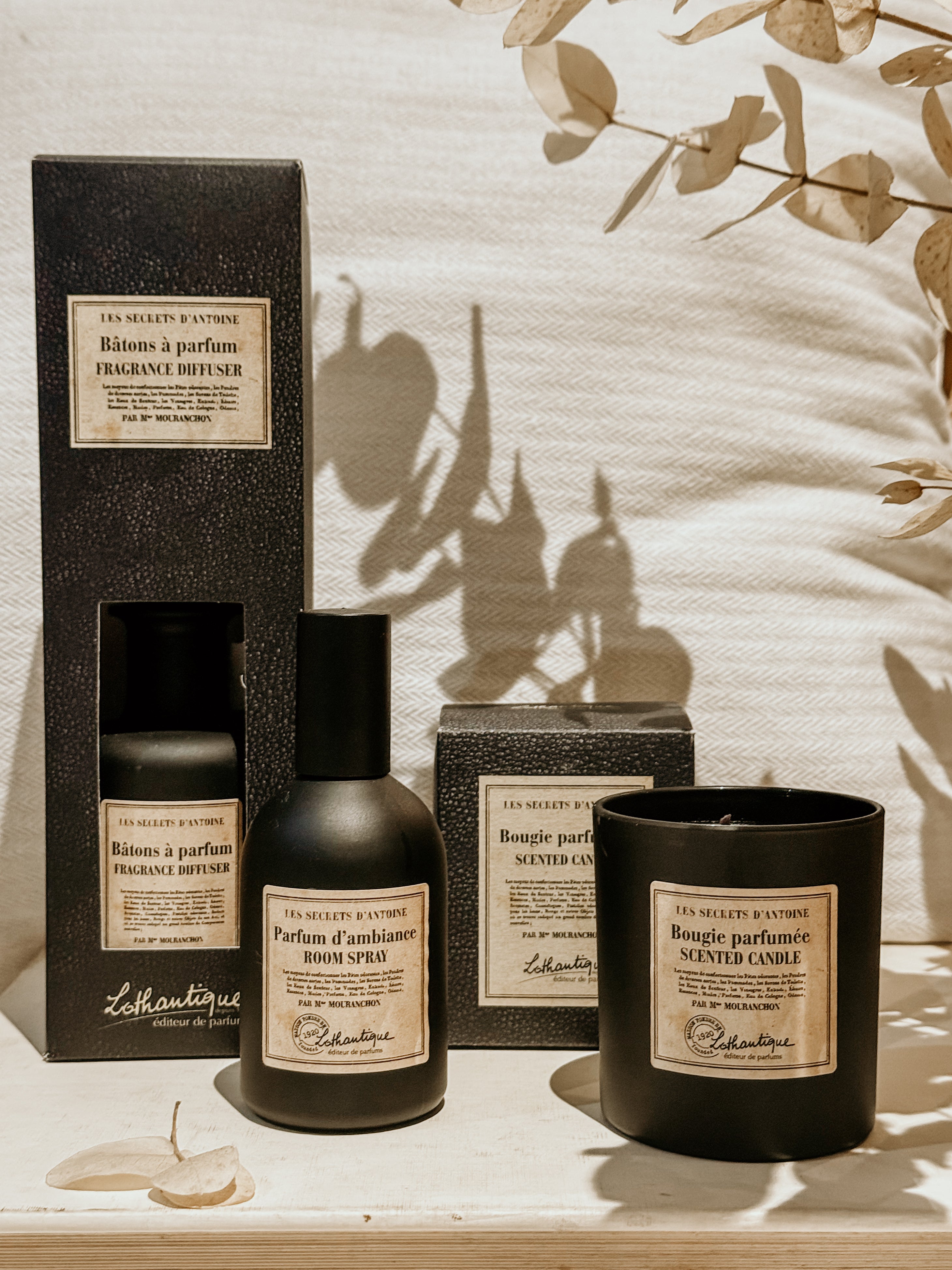 Les Secrets D'antoine Scented Candle - Shop Adele Catherine 