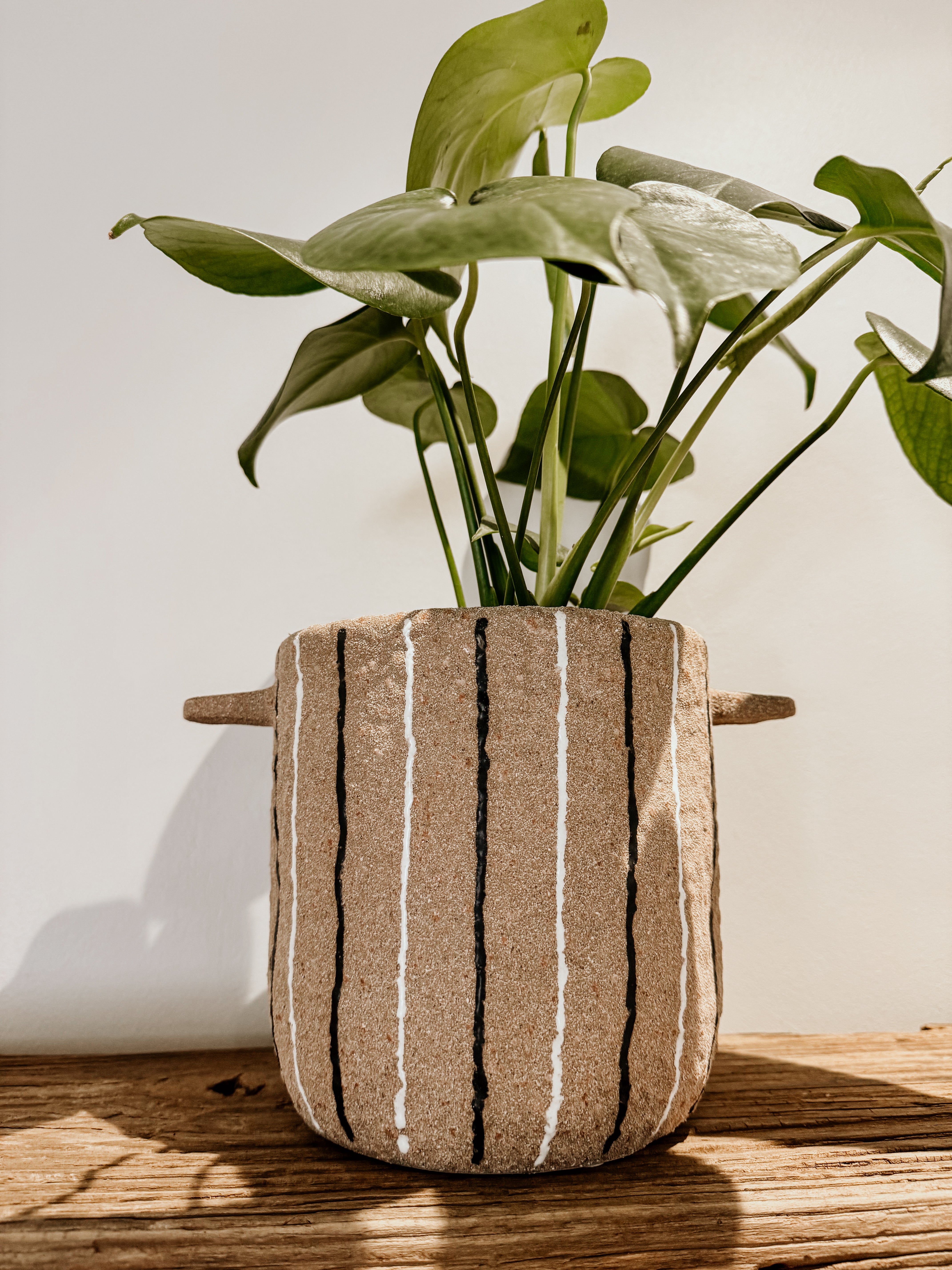 Pot | Terracotta | White & Black Stripe - Shop Adele Catherine 