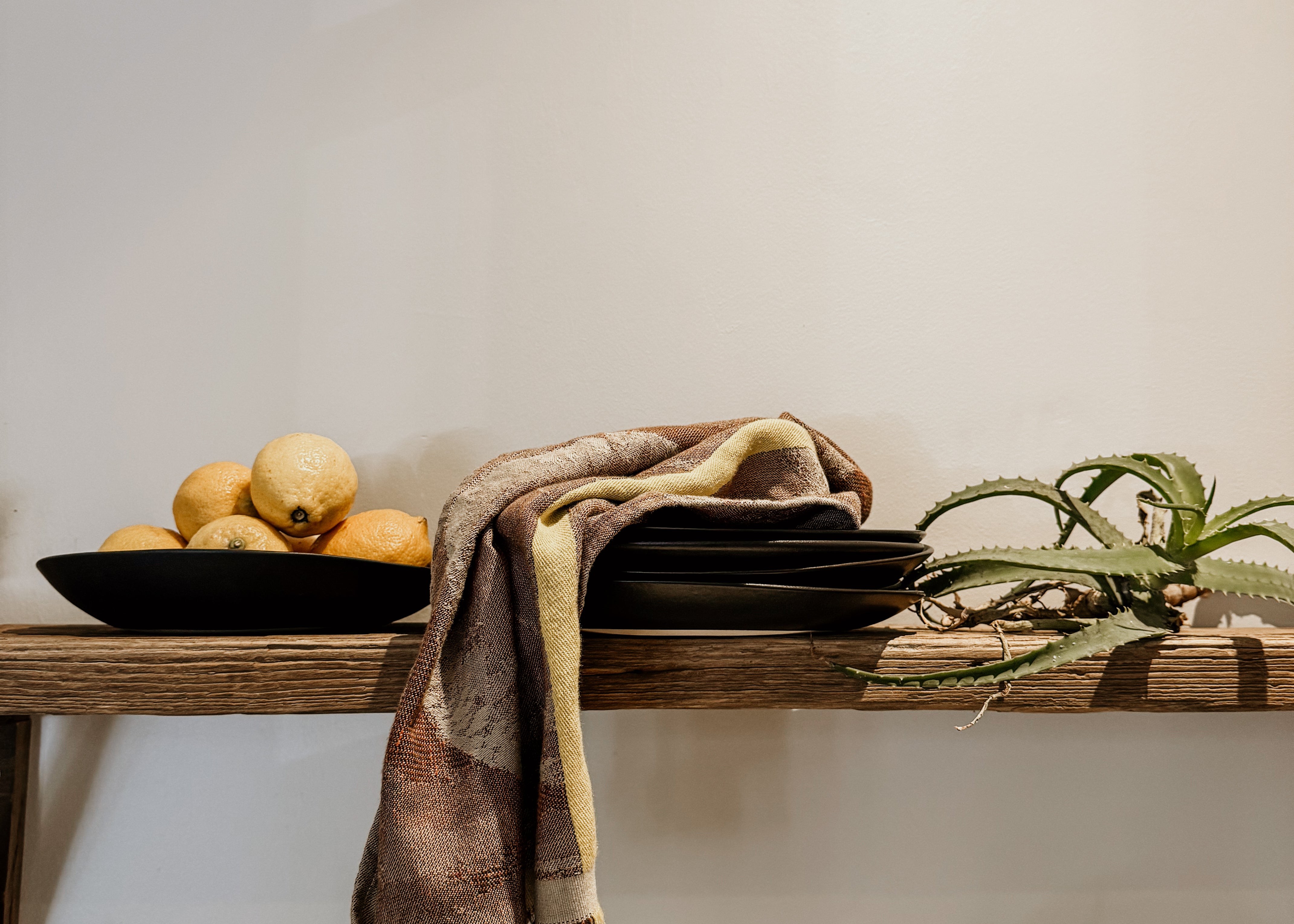 Elsa Dinner Plates | Milk - Shop Adele Catherine 