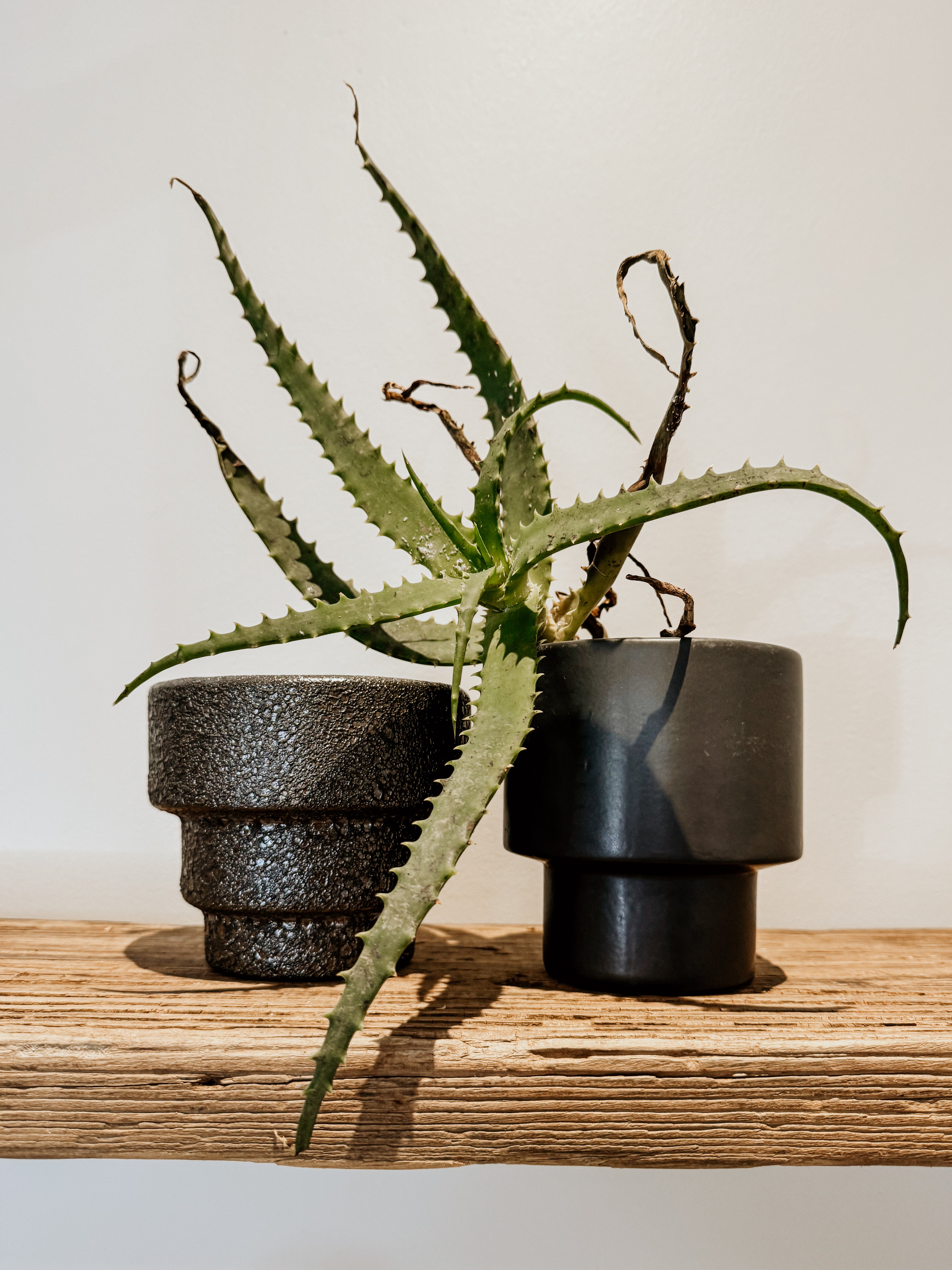 Vase Textured Layers | Black - Shop Adele Catherine 