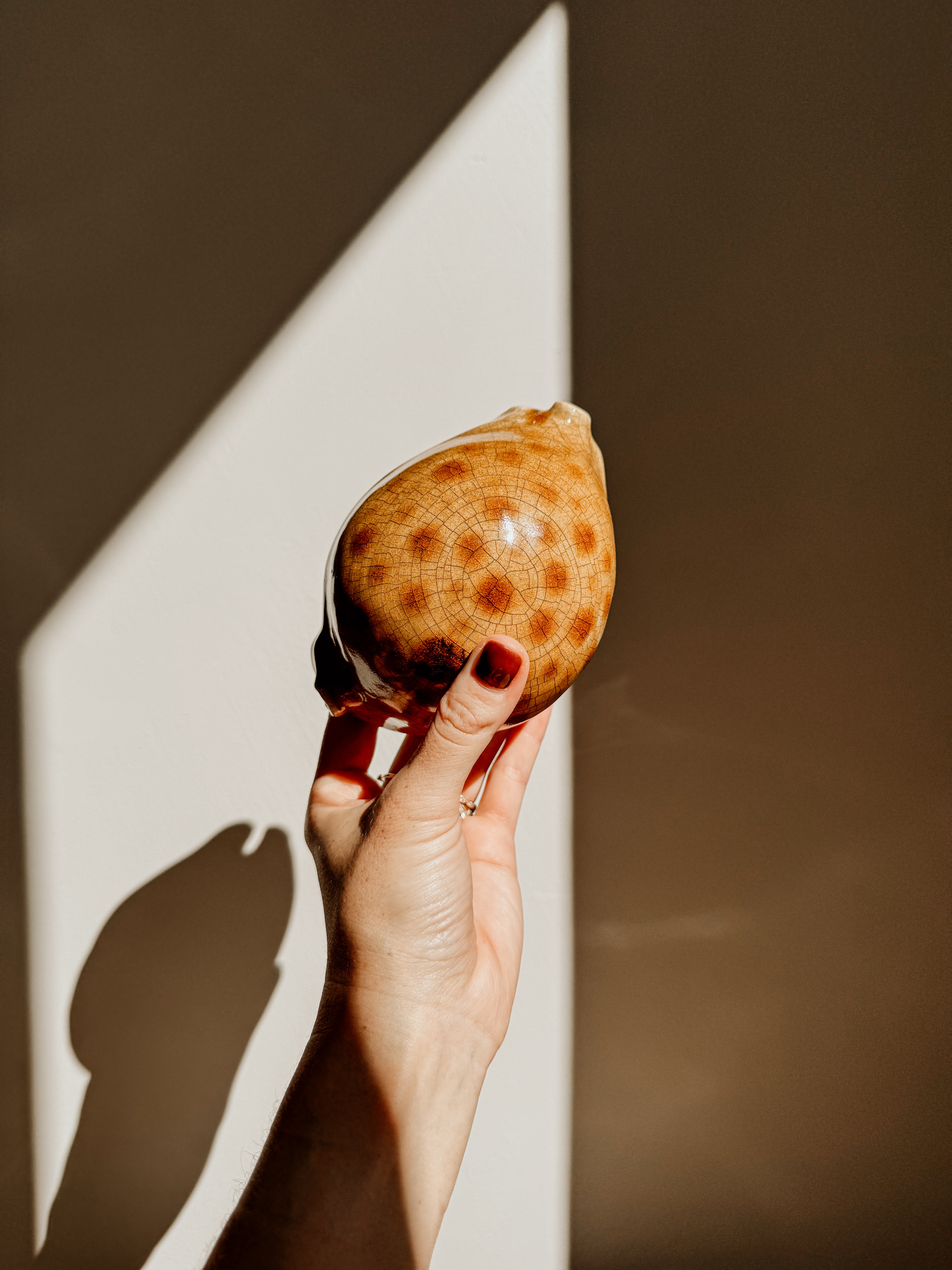Cowrie : Spotted Teapot Crackle | Black - Shop Adele Catherine 