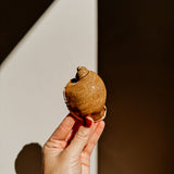 Cowrie : Spotted Teapot Crackle | Black - Shop Adele Catherine 