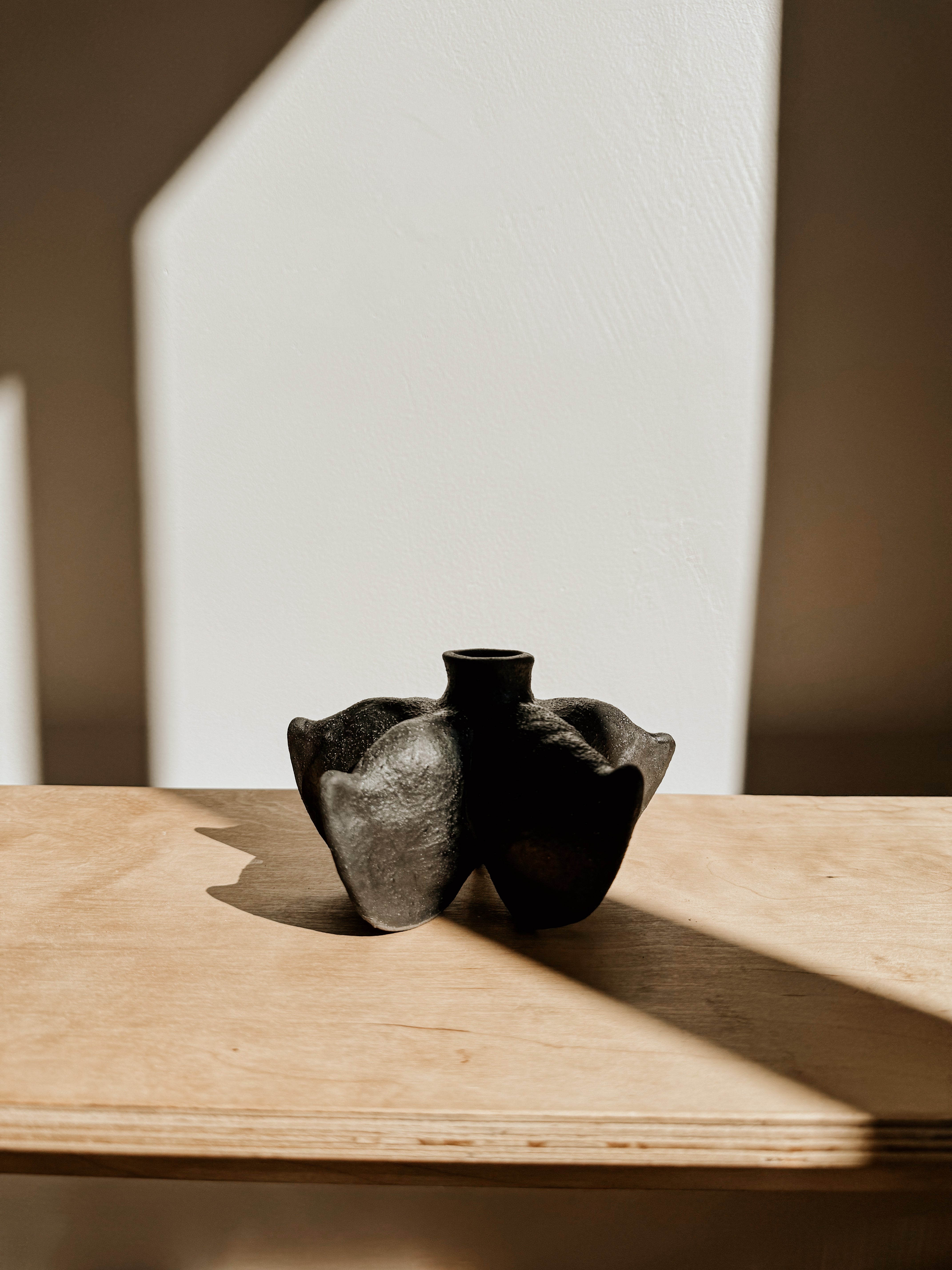Black Anise Vessel by Delphine, a stylish ceramic container with a sleek, modern design perfect for home decor.