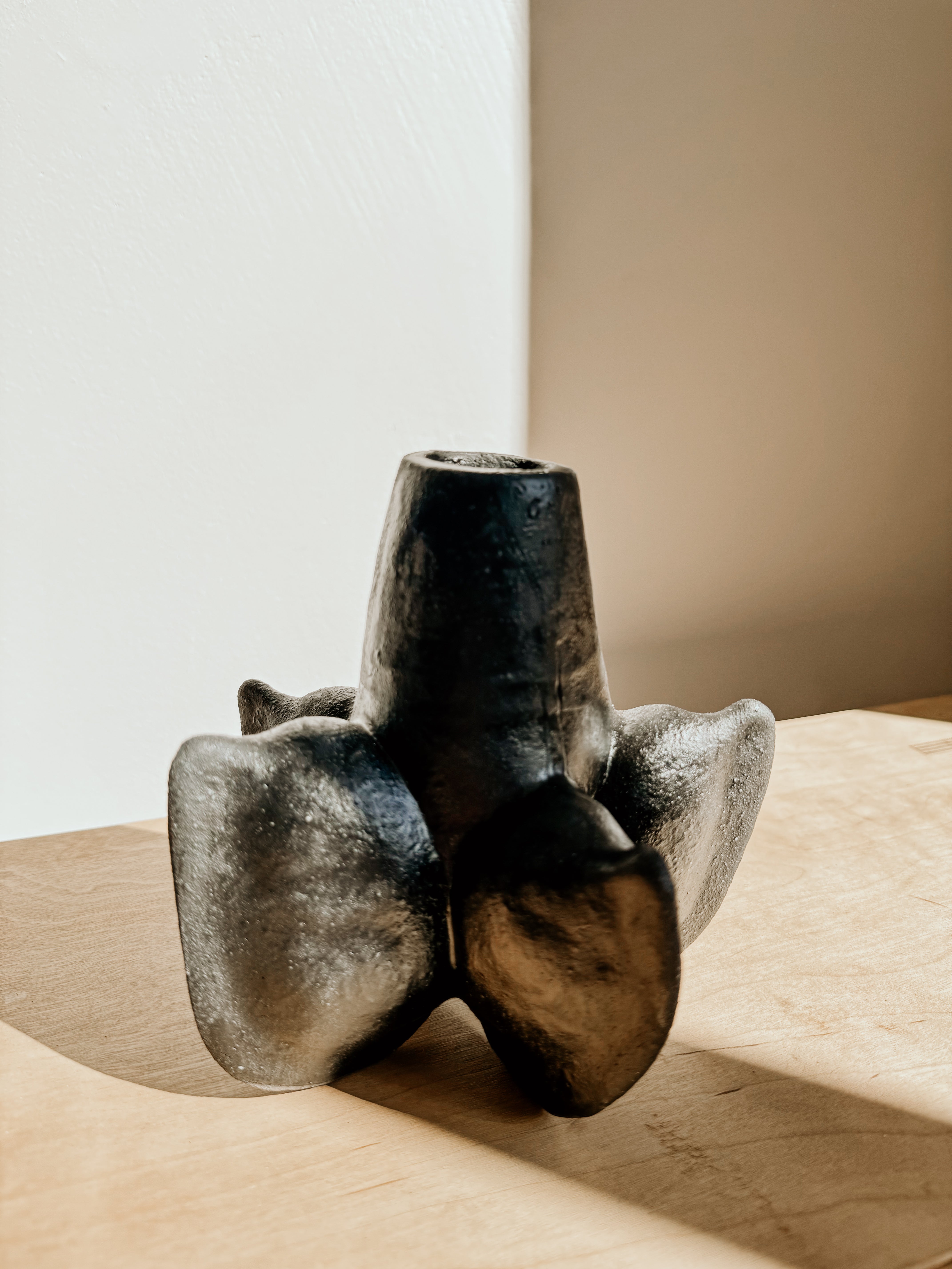 Black Anise Vessel by Delphine, a stylish ceramic decorative piece with a sleek black finish.