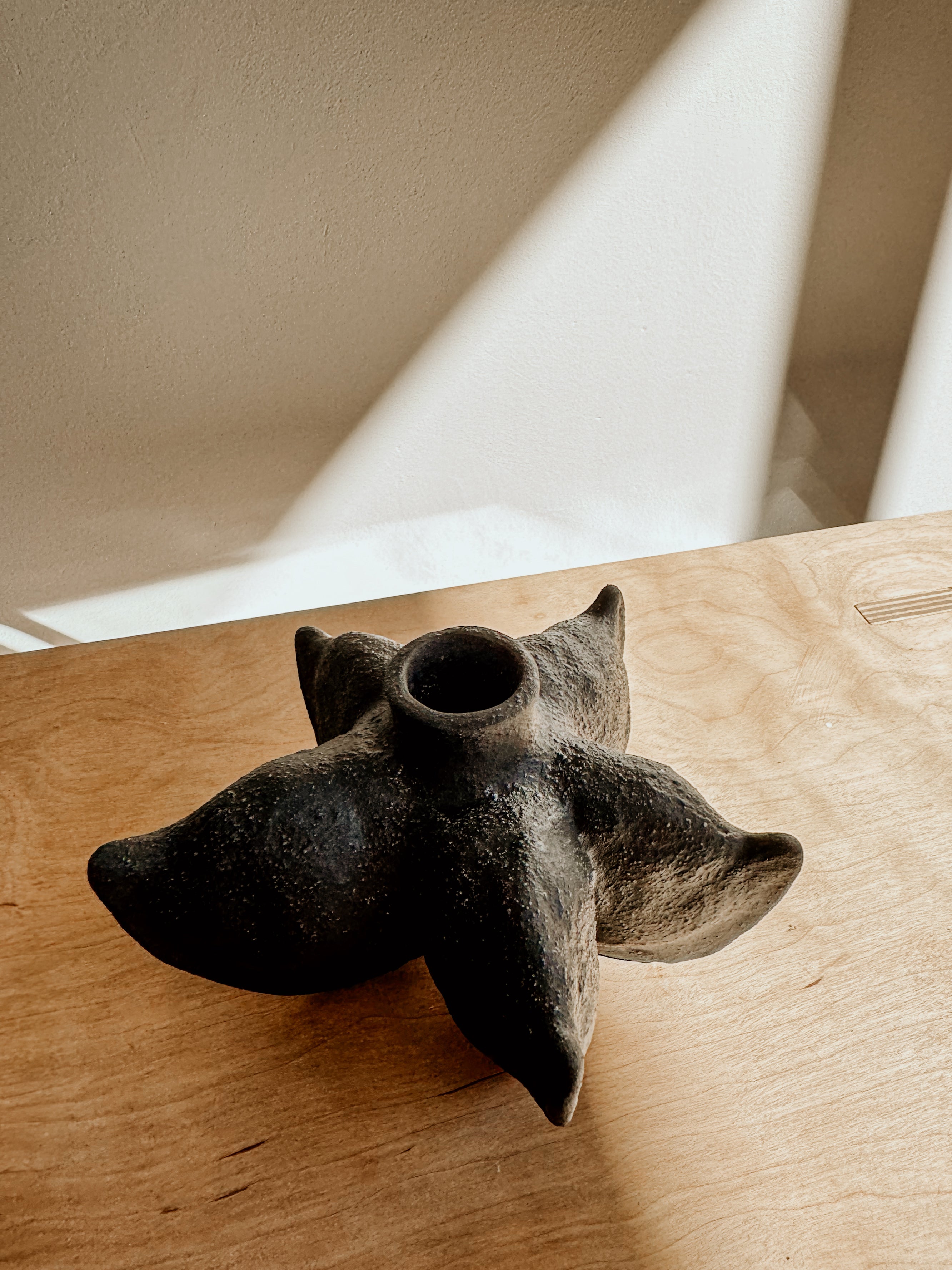 Black Anise Vessel by Delphine, a stylish ceramic container with a smooth, rounded design and a matte black finish.
