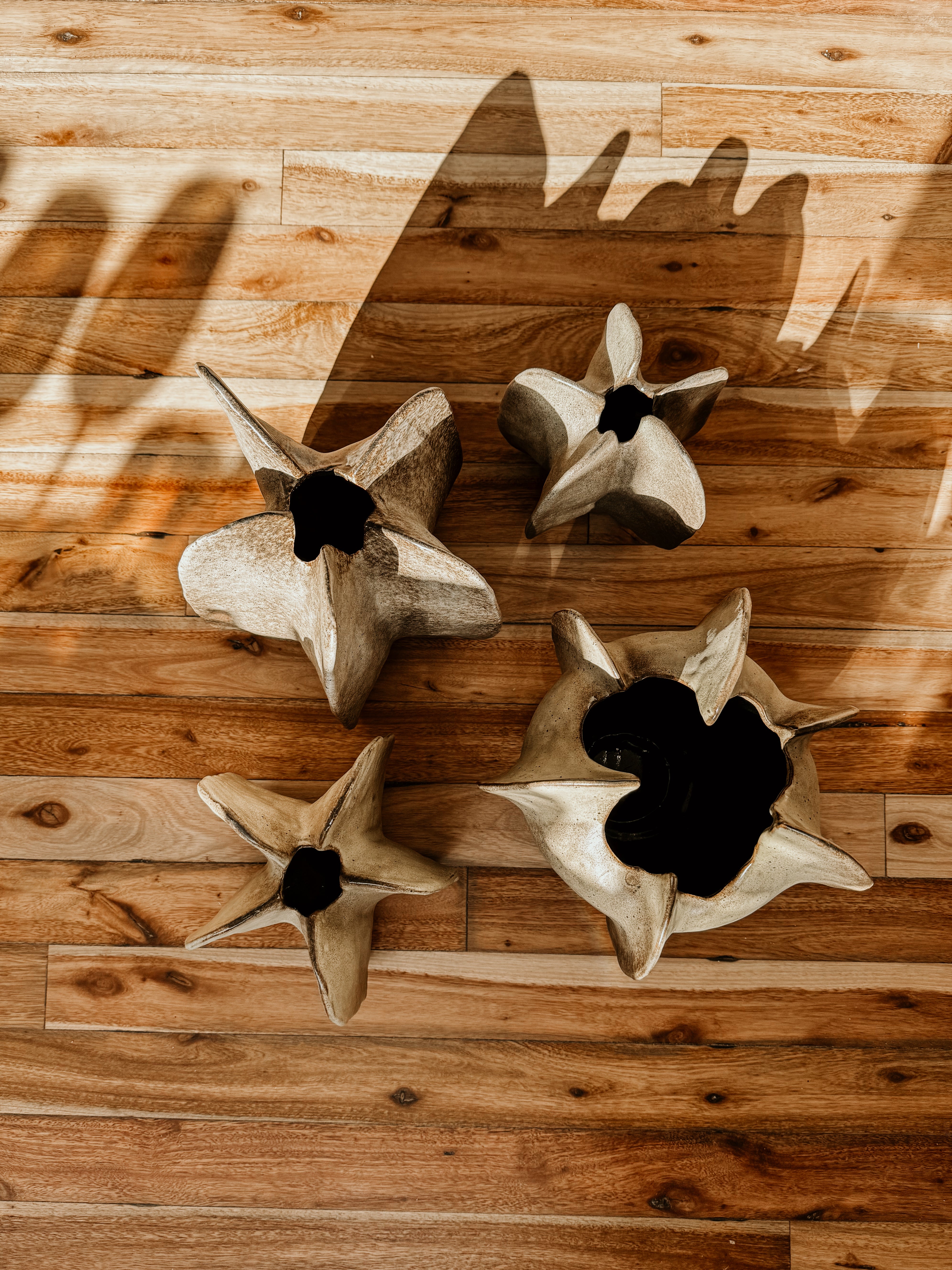 Walnut Pod - Shop Adele Catherine 