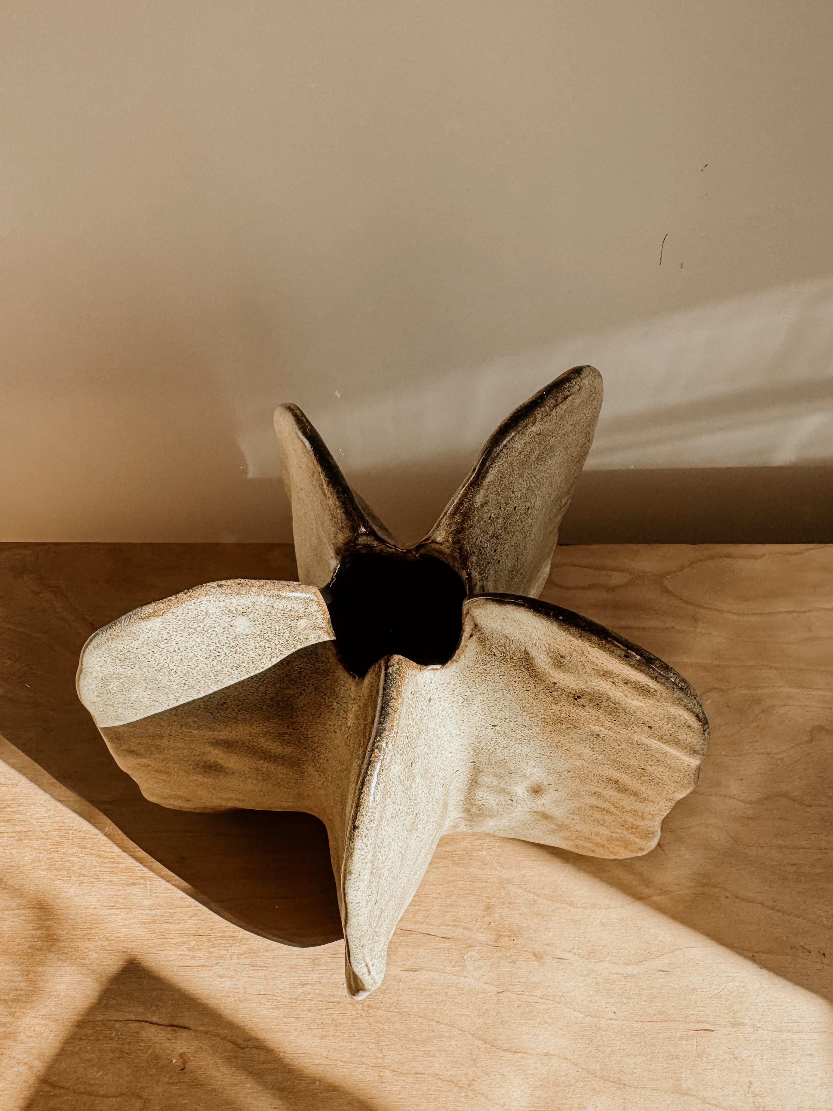 Walnut Pod - Shop Adele Catherine 