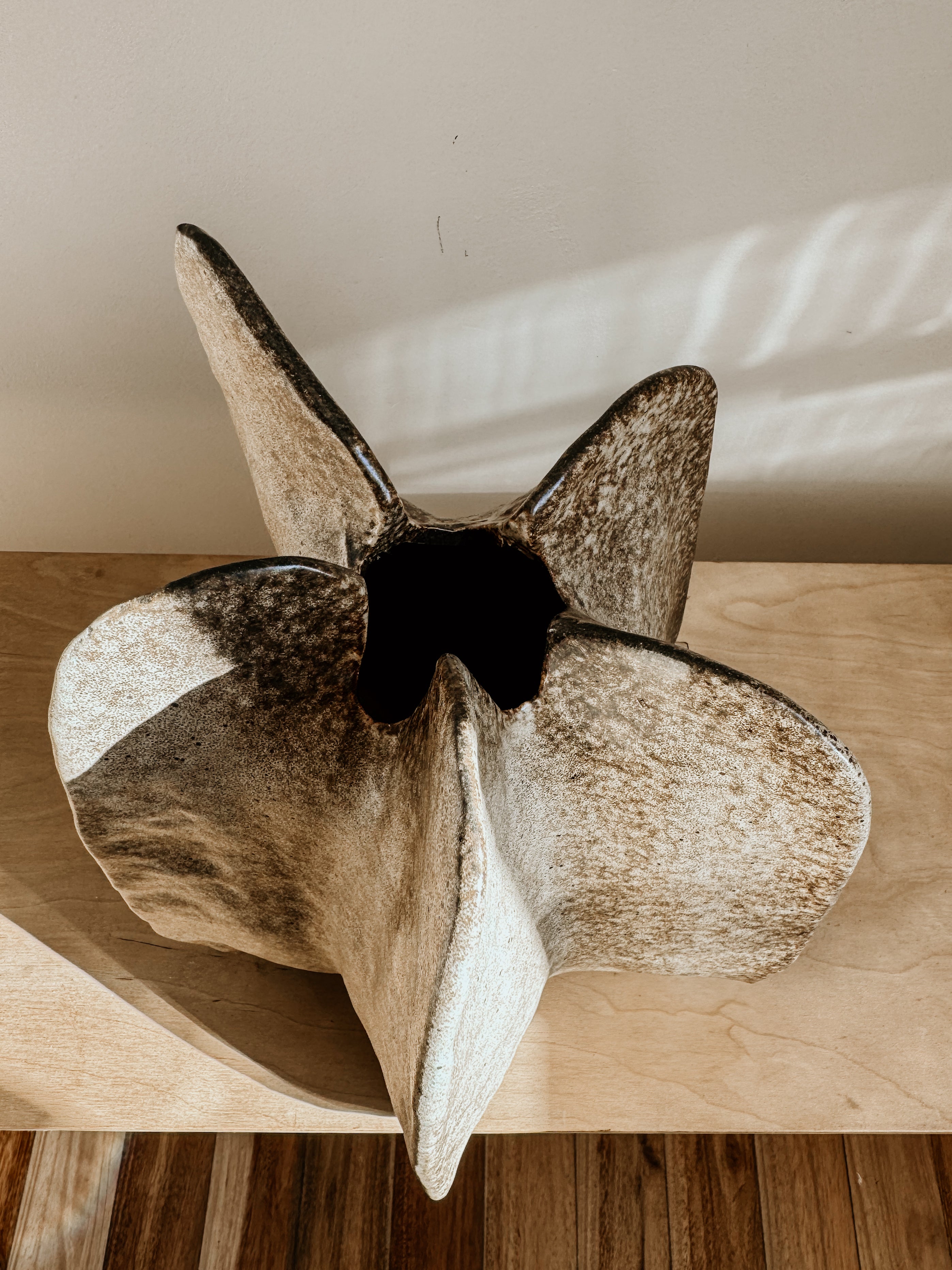 Walnut Pod - Shop Adele Catherine 