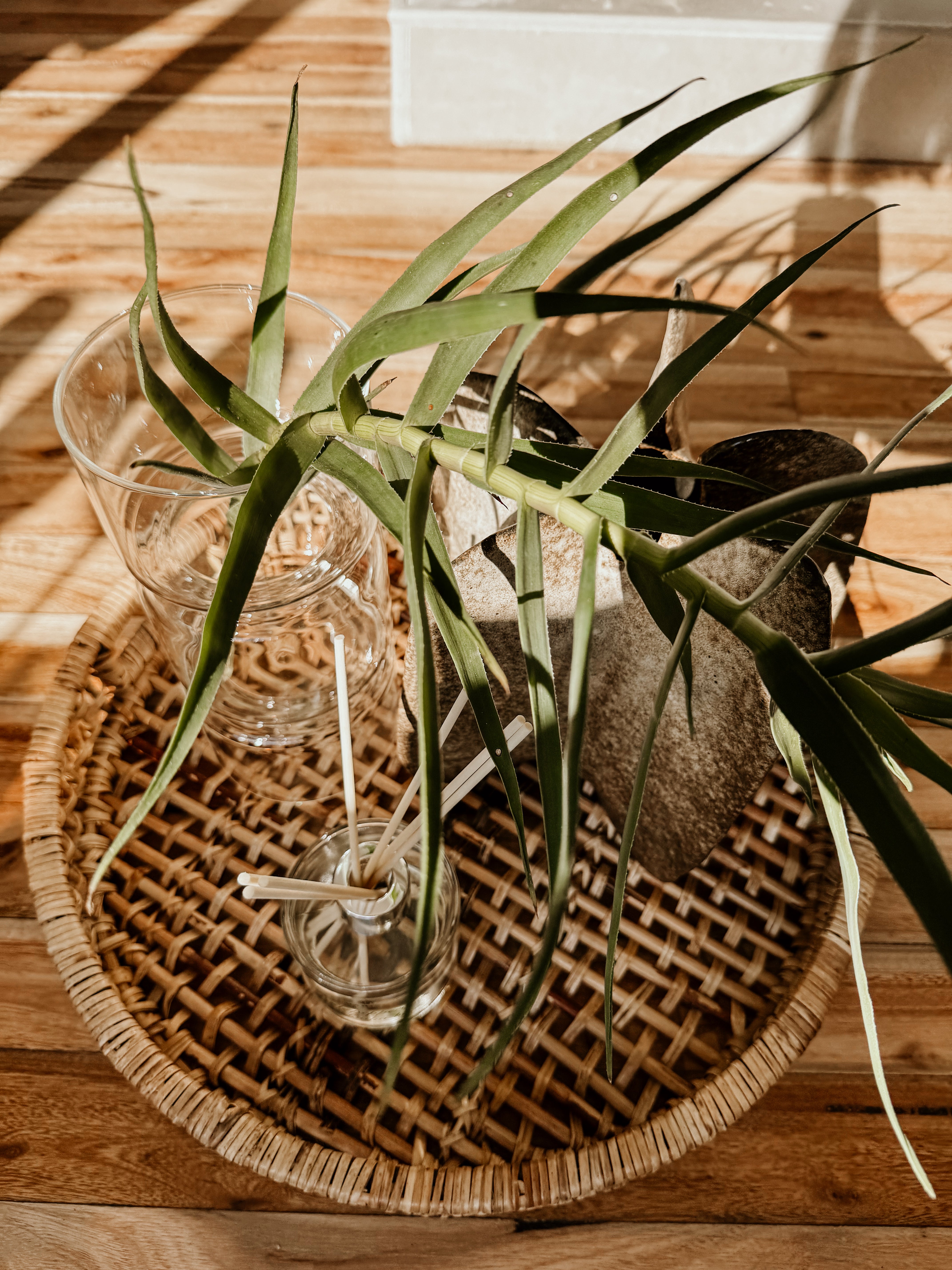 The Jessica Tray | Natural - Shop Adele Catherine 