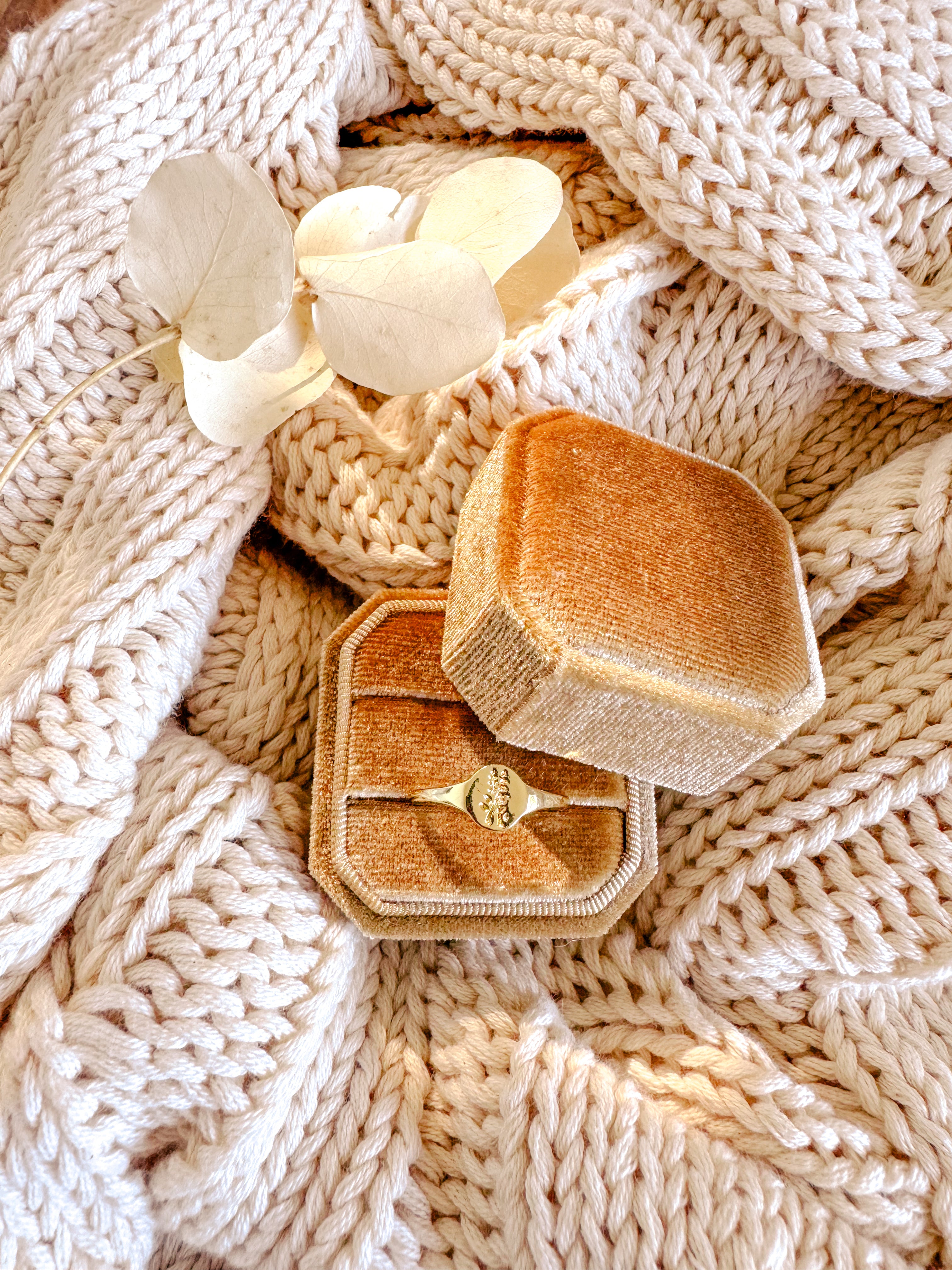 The Ivy Signet Ring - Shop Adele Catherine 