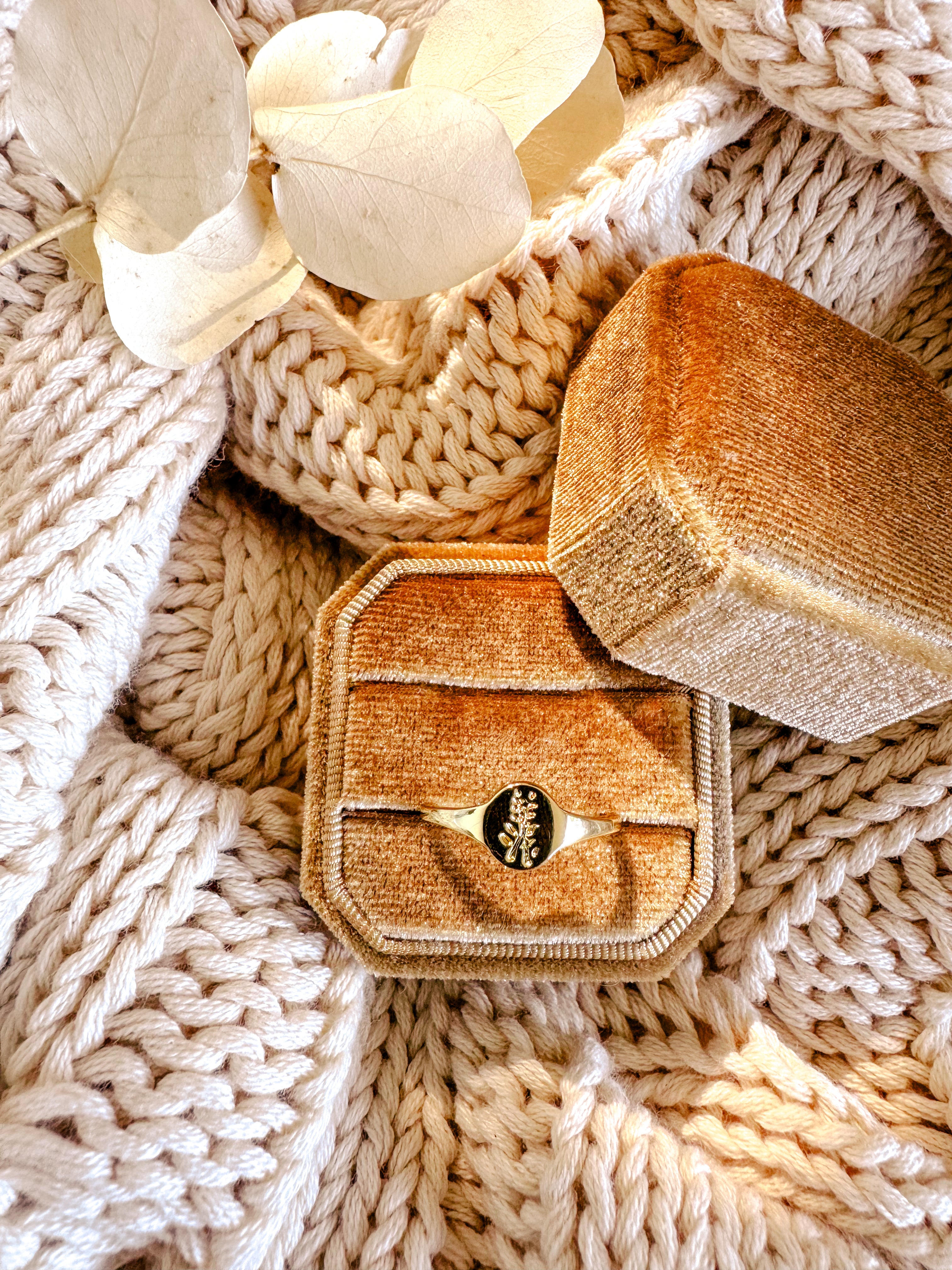 The Ivy Signet Ring - Shop Adele Catherine 