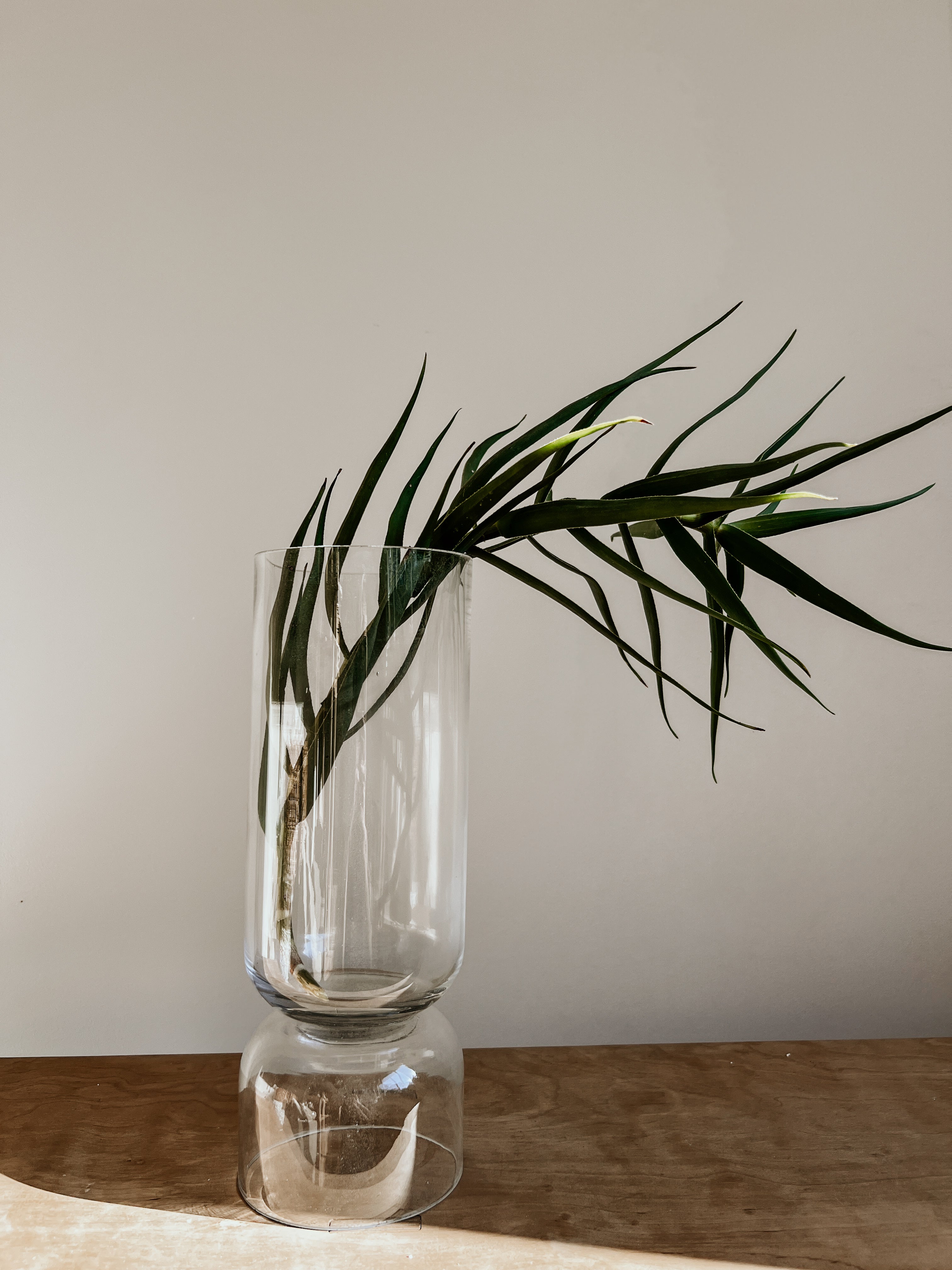 Glass Candle Holder/ Vase Medium | Clear - Shop Adele Catherine 