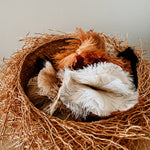 Fluffi Key Ring - Shop Adele Catherine 