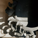 Squat Organic Planter | Black - Shop Adele Catherine 