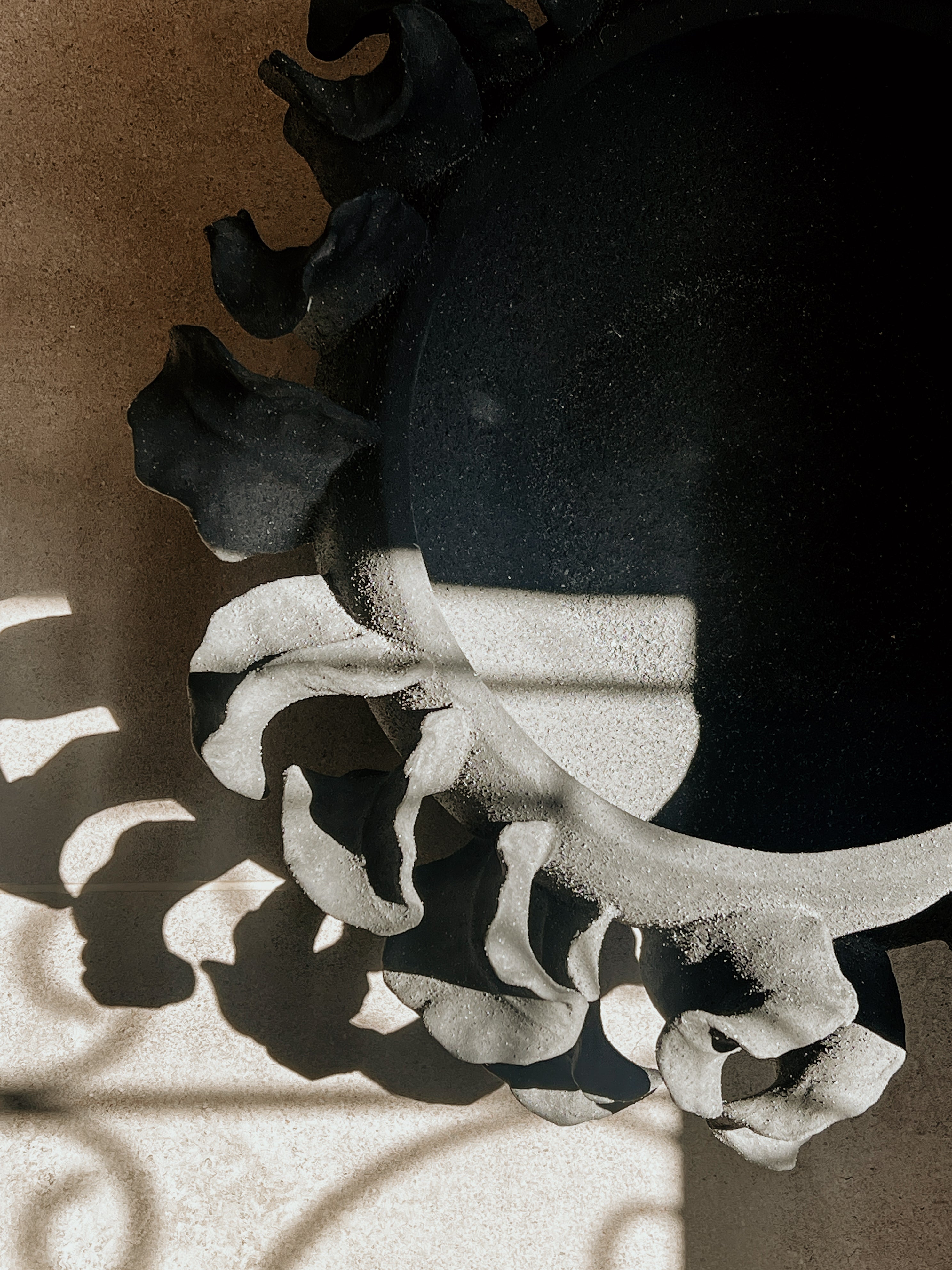 Squat Organic Planter | Black - Shop Adele Catherine 