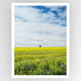 Shot by Clint Paarl - Shop Adele Catherine 