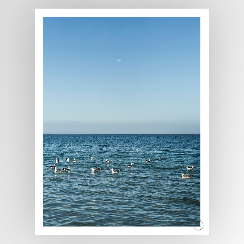 Shot by Clint Sundaze - Shop Adele Catherine 