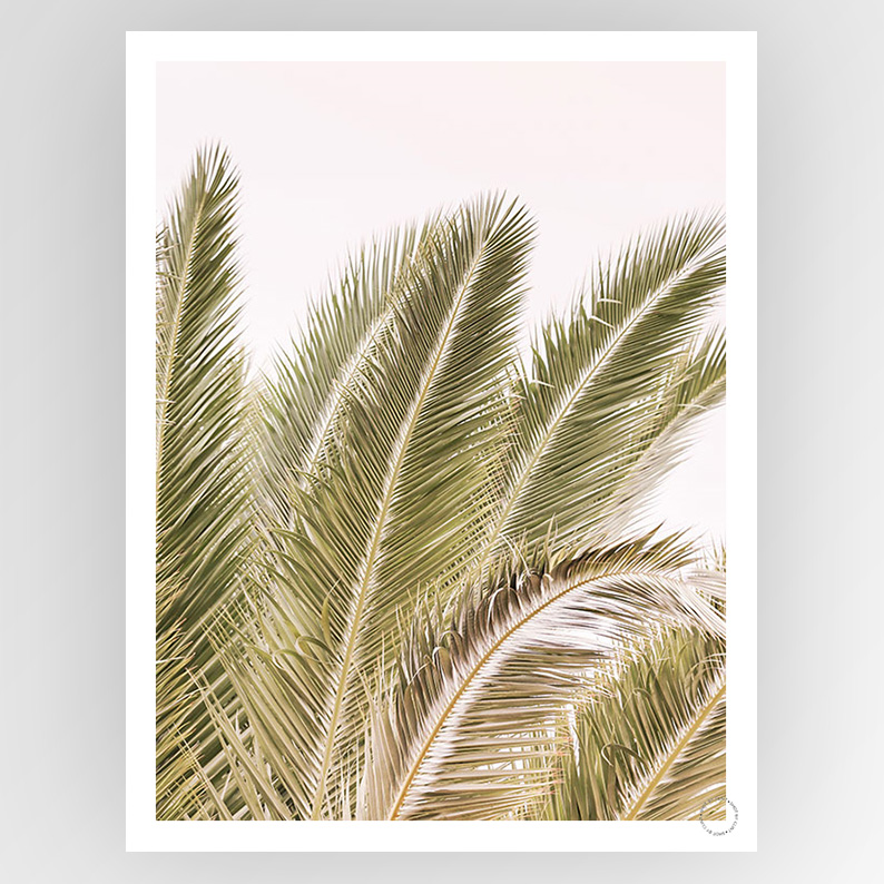 Photografiks Shot by Clint Oasis Palm 01 consignment art print, featuring a lush oasis and palm trees in vibrant colors.