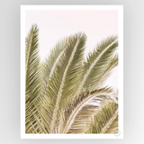 Photografiks Shot by Clint Oasis Palm 01 consignment art print, featuring a lush oasis and palm trees in vibrant colors.