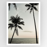 Shot by Clint Easy Ride