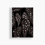 Spotted Over There Art Print Black