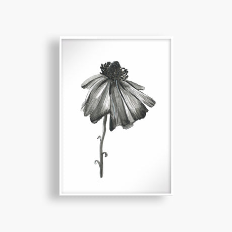 Bloom 2 Art Print - Shop Adele Catherine 