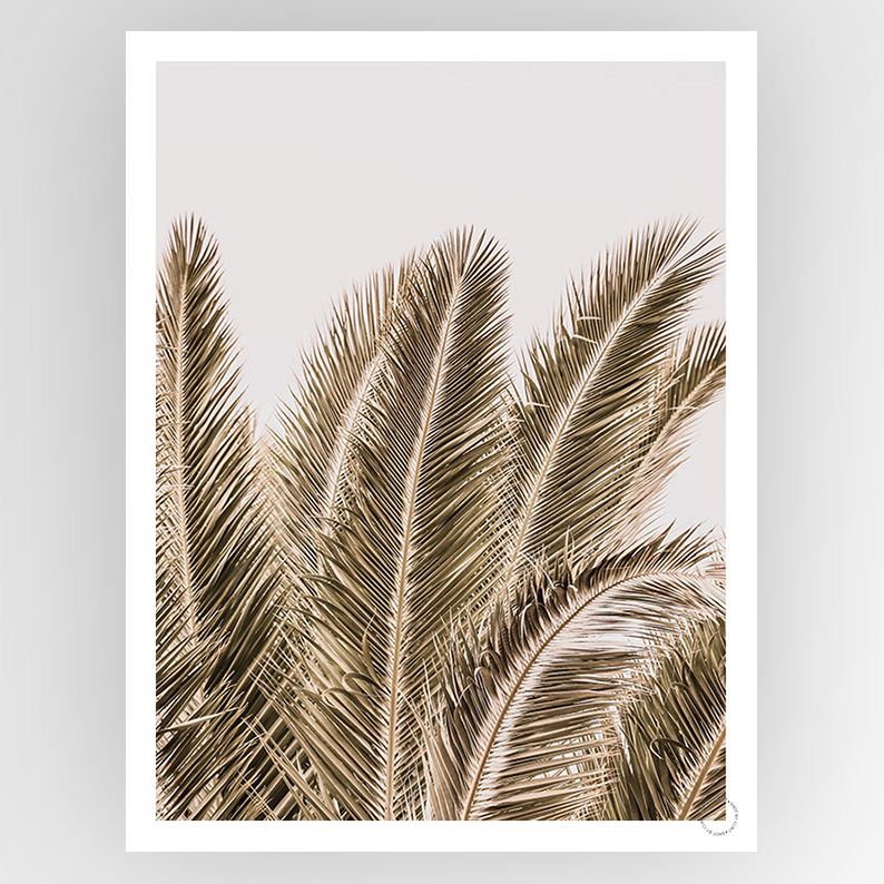 Shot by Clint Desert Palm - Shop Adele Catherine 