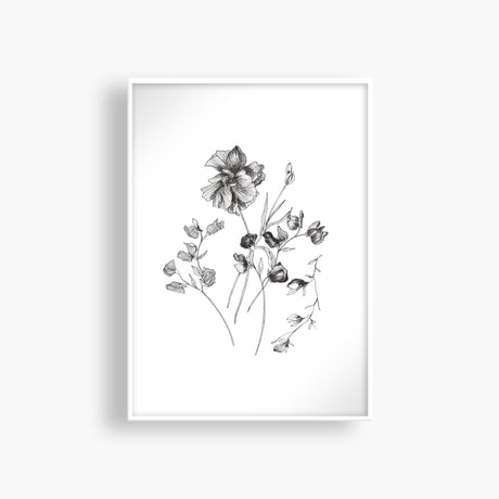 Floral Sketch One