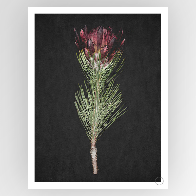 Photograph titled "Shot by Clint Protea" by Fotografiks featuring a landscape scene with vibrant colors and natural elements.
