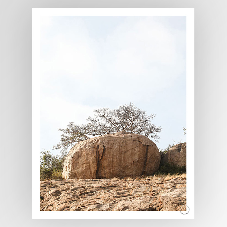 Photografiks consignment artwork "Shot by Clint Highveld 01" displayed in a digital image, showcasing a high-quality visual piece.