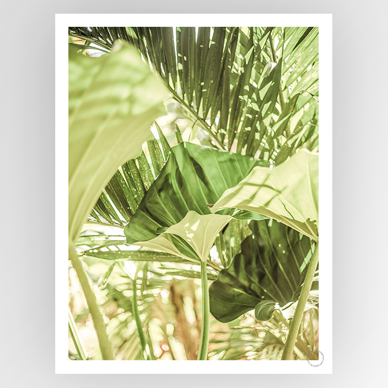 Photografiks Shot by Clint Garden Salad consignment artwork, featuring vibrant colors and detailed botanical imagery.