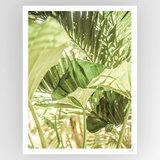 Photografiks Shot by Clint Garden Salad consignment artwork, featuring vibrant colors and detailed botanical imagery.