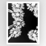 Photograph titled "Shot by Clint Palm Springs" by Fotografiks, featuring a vivid desert landscape with cacti and mountains.