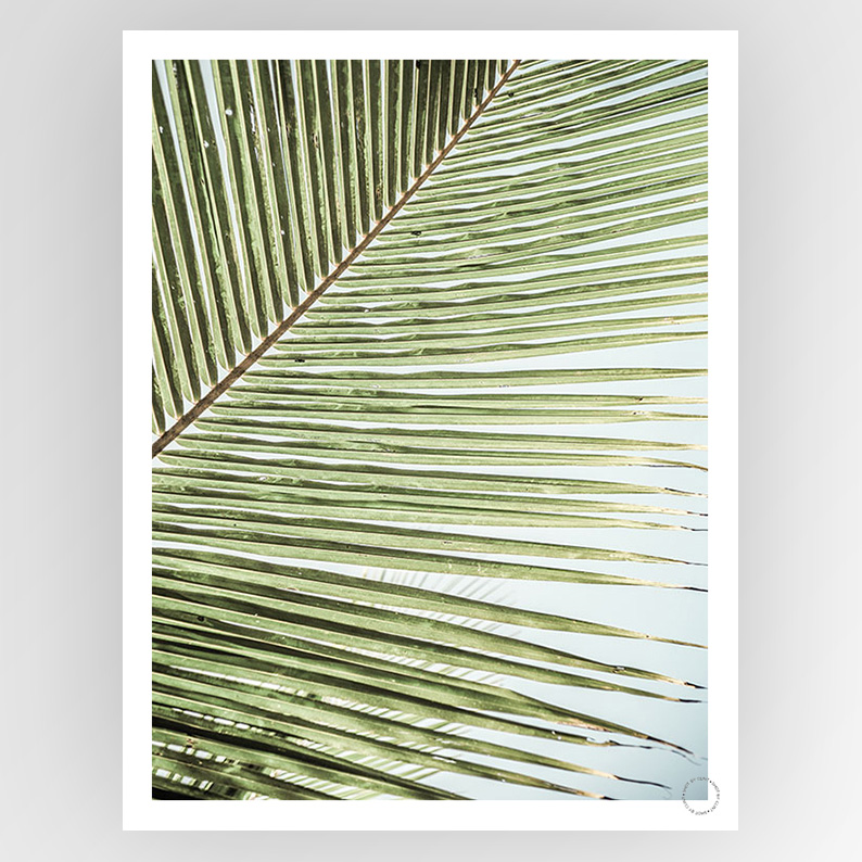 Photographer Clint Zig Zag consignment artwork by Fotografiks, featuring bold zig zag patterns in black and white.