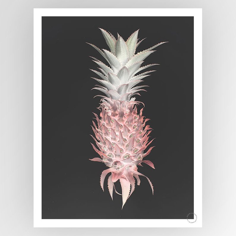 Photografiks Strawbery Pine consignment artwork featuring vibrant colors and abstract design, displayed on a gallery wall.