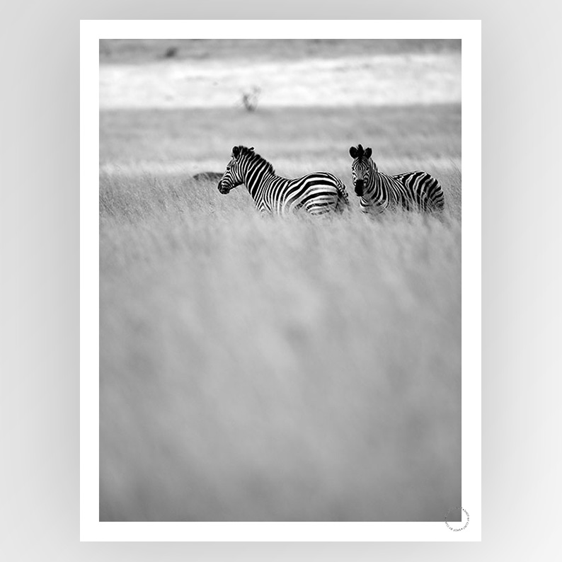 Photografiks shot by Clint Savannah consignment image featuring a black and white portrait photograph with artistic lighting.