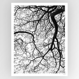 Consignment photo by Fotografiks featuring Clint Durban Forest artwork displayed on a wall with natural lighting.