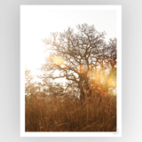 Shot by Clint Highveld 02 - Shop Adele Catherine 