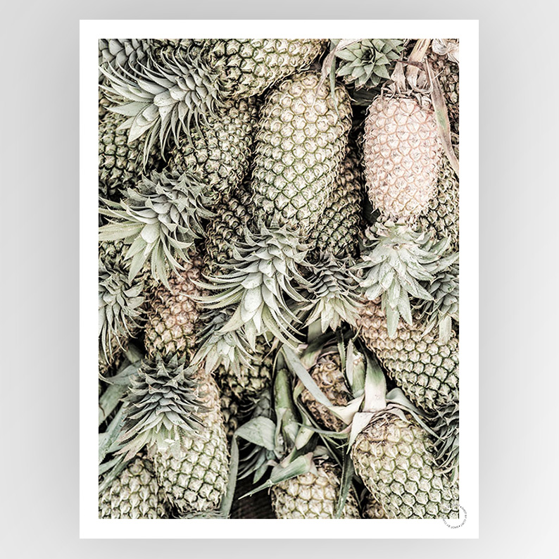 Shot by Clint Spiced Pine - Shop Adele Catherine 