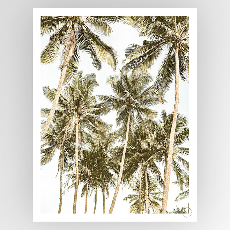 Photografiks Shot by Clint Island Bliss consignment artwork featuring vibrant colors and abstract island-inspired design.