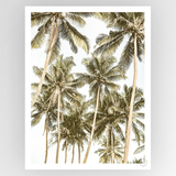 Photografiks Shot by Clint Island Bliss consignment artwork featuring vibrant colors and abstract island-inspired design.