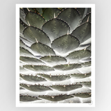 Shot by Clint Agave Layers - Shop Adele Catherine 
