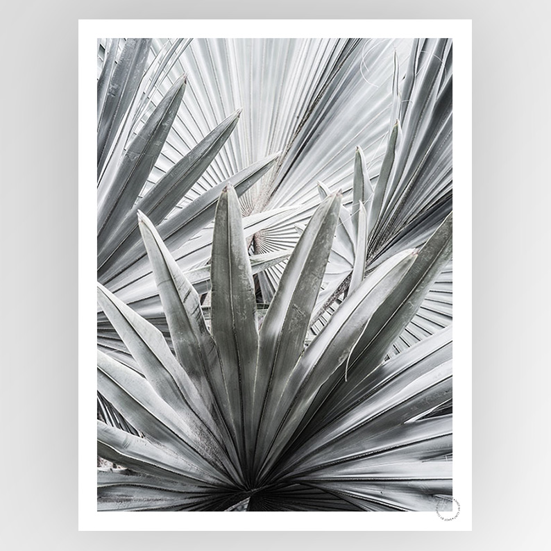 Photografiks Shot by Clint Silver Spray consignment artwork featuring abstract silver spray patterns on a white background.