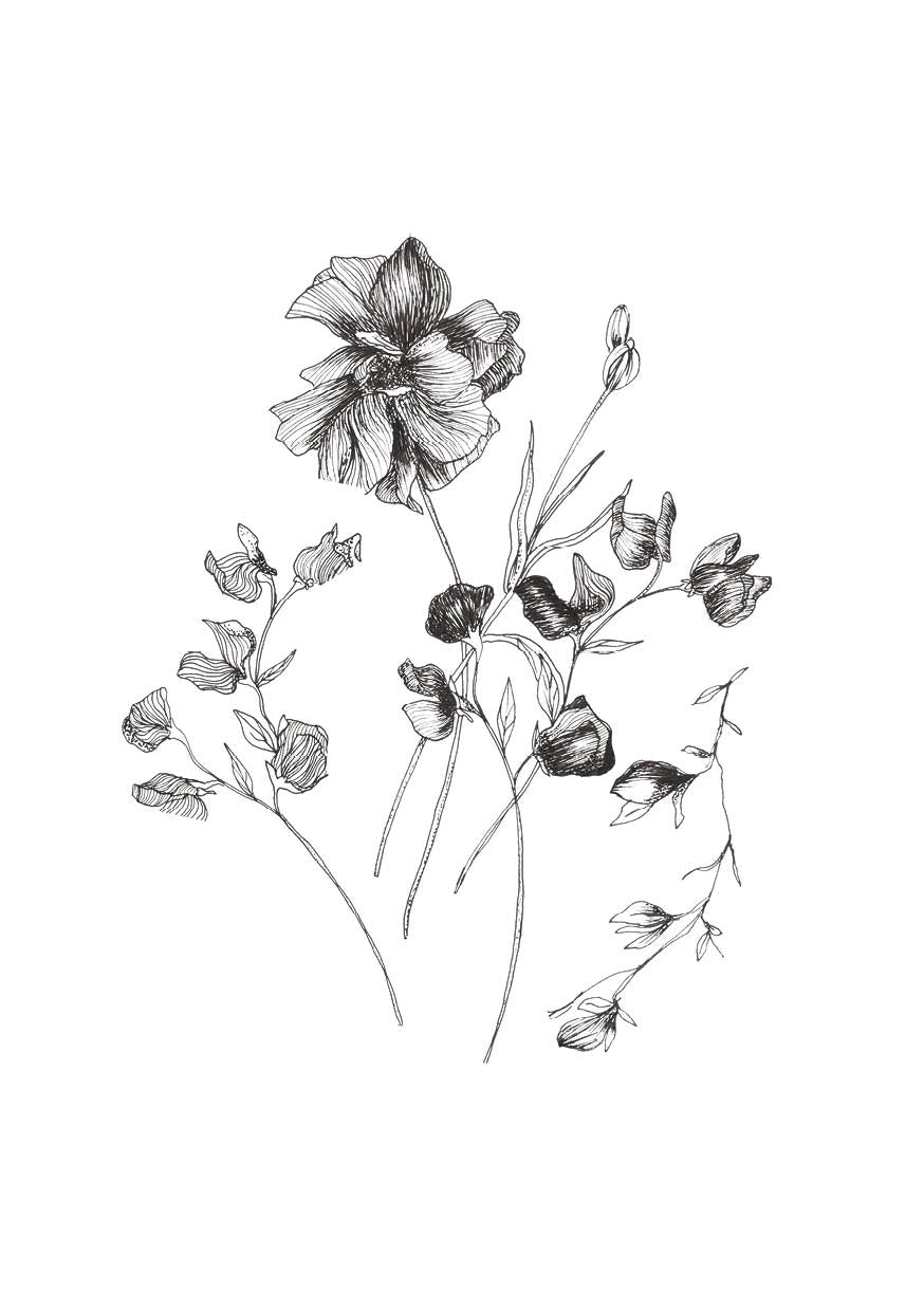 Floral Sketch One