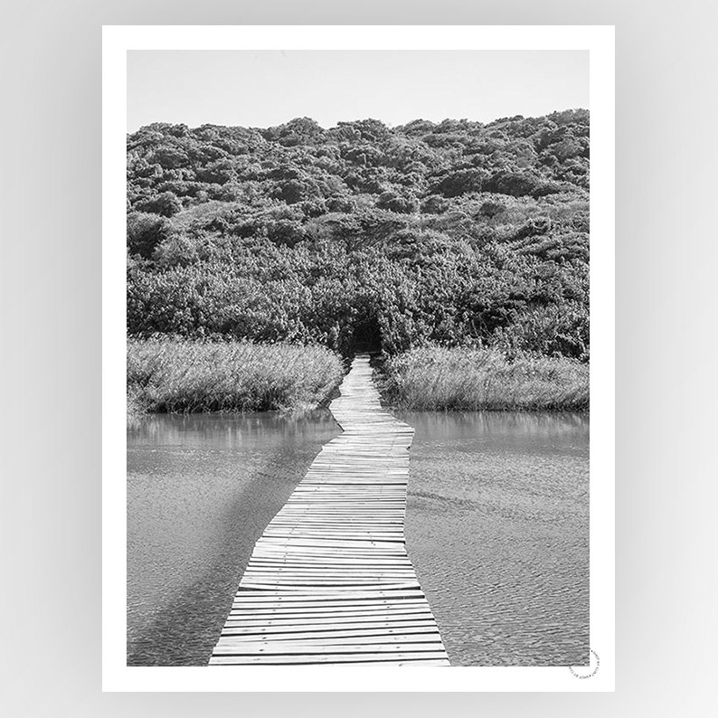 Shot by Clint Welcome to The Jungle - Shop Adele Catherine 