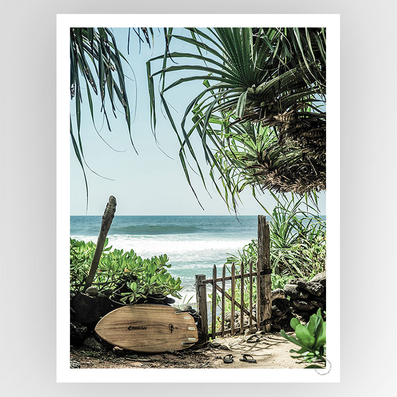 Shot by Clint Secret Beach - Shop Adele Catherine 
