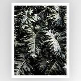 Consignment photograph titled "Shot by Clint Delious Monster" by Fotografiks, featuring a striking, artistic visual.